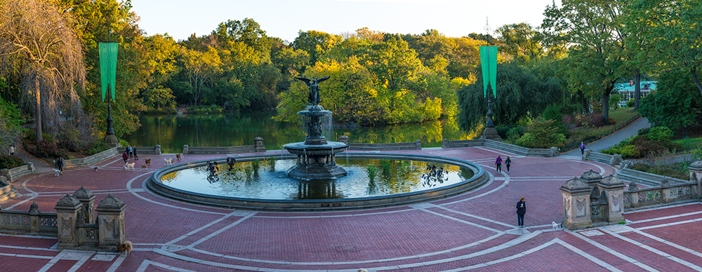 Bethesda Fountain in Central Park — Daryanani Law Group, PC